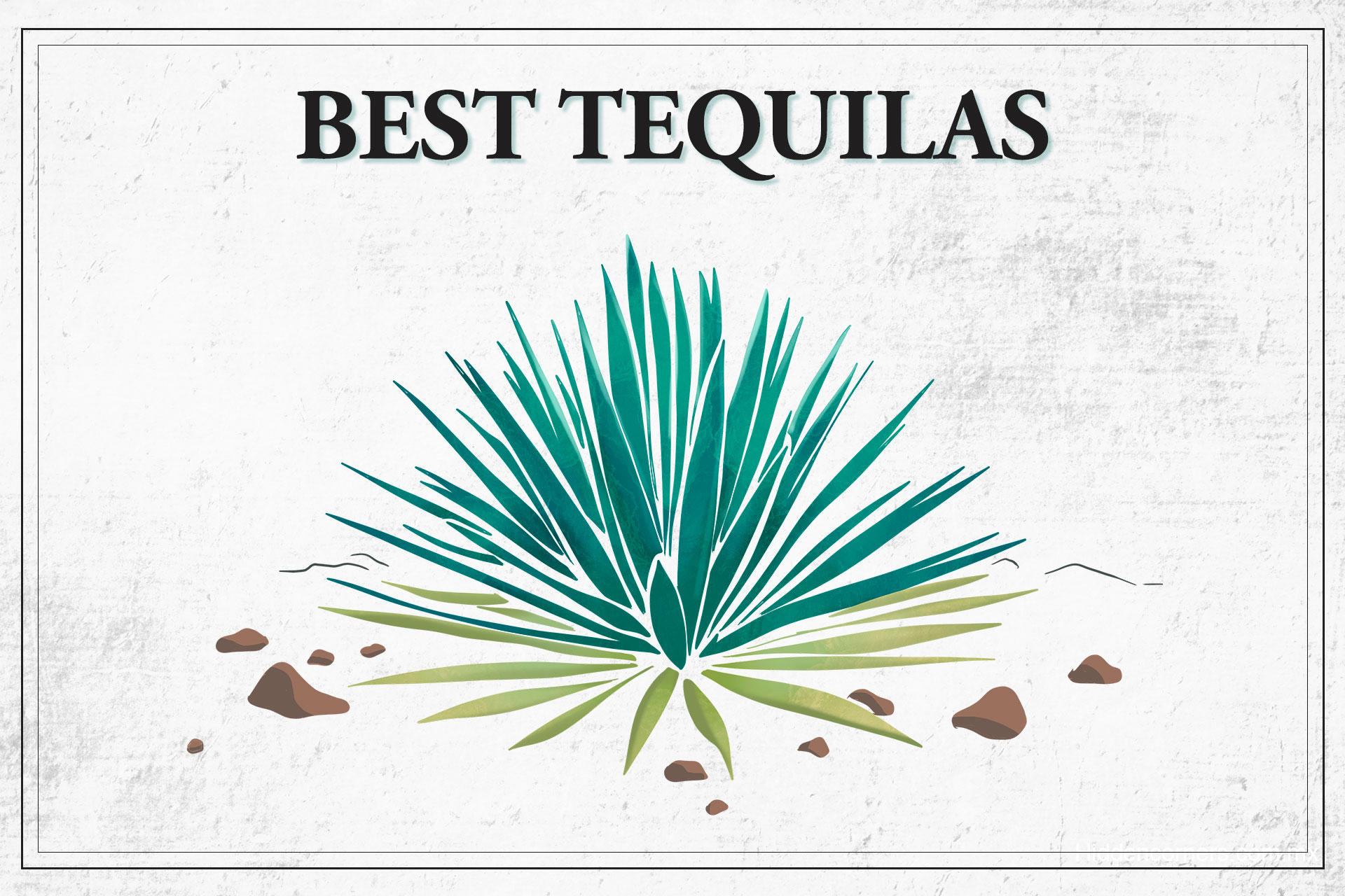 Best Tequilas Guide 2020 For Every Budget And Occasion | Hidden Corners